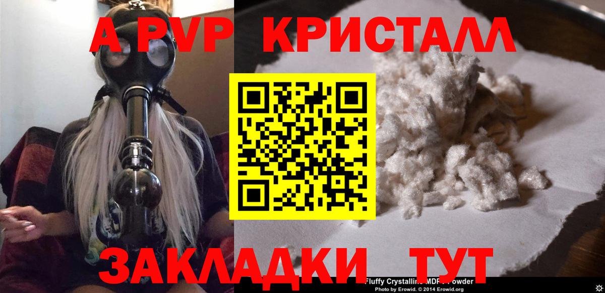 A PVP СК КРИС Алейск