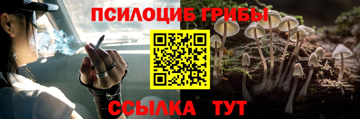 сколько стоит  Псилоцибиновые грибы ЛСД  Вход с VPN  Алейск 